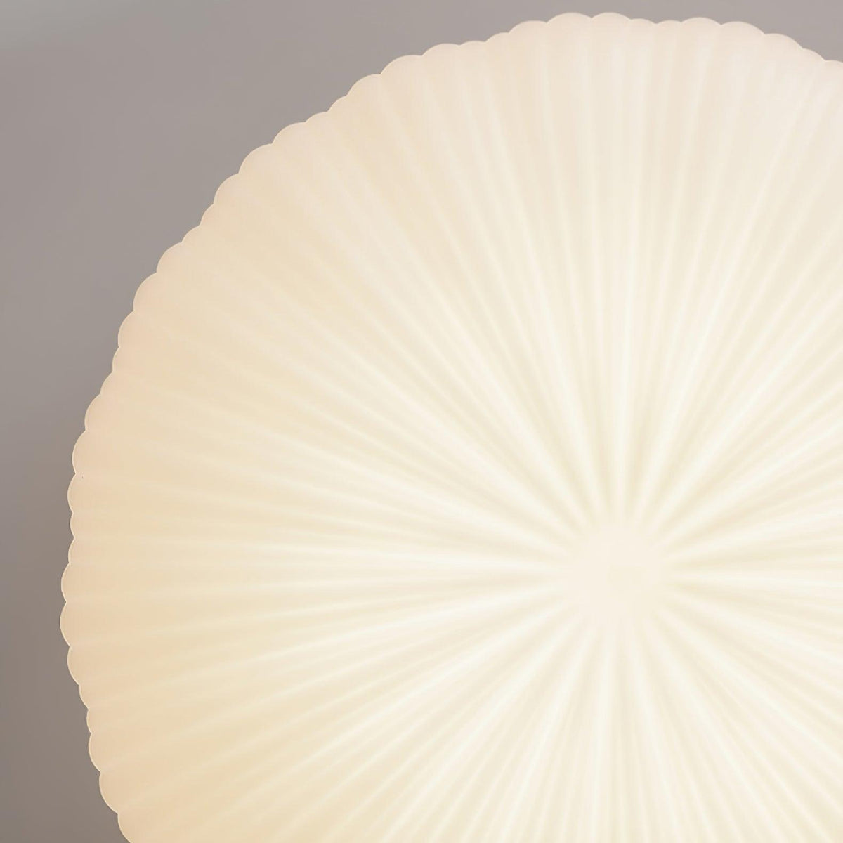 Ribbed Shell Flush Mount Ceiling Light Ribbed Glass Shade