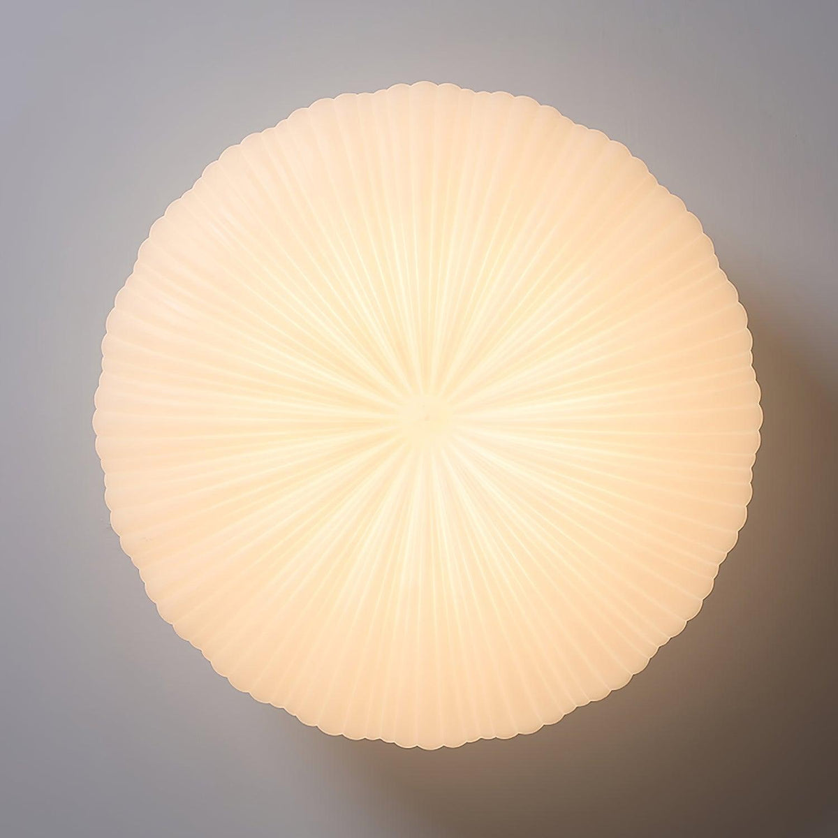 Ribbed Shell Flush Mount Ceiling Light Ribbed Glass Shade