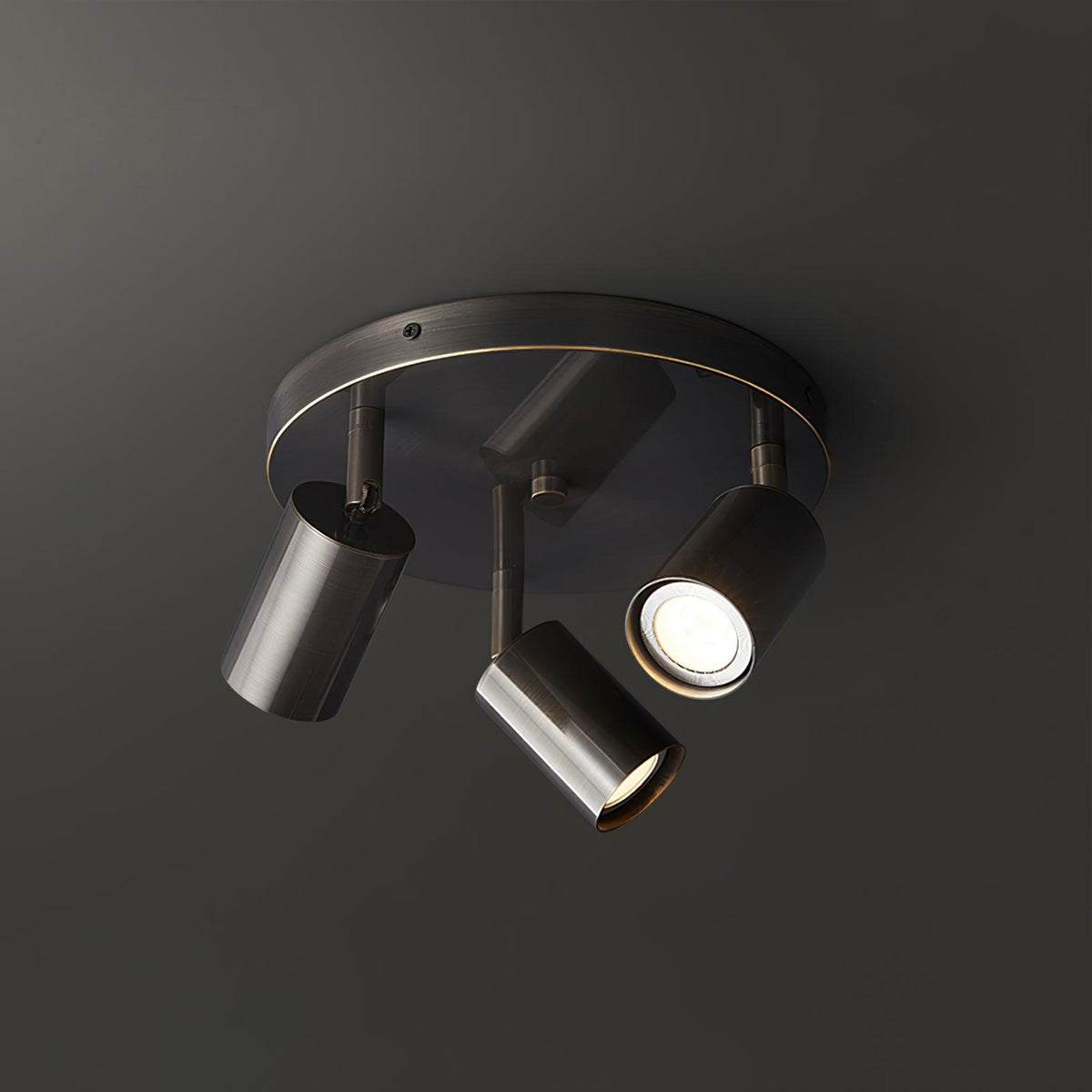 Halo Multi-Head Ceiling Spotlight Adjustable Track Light