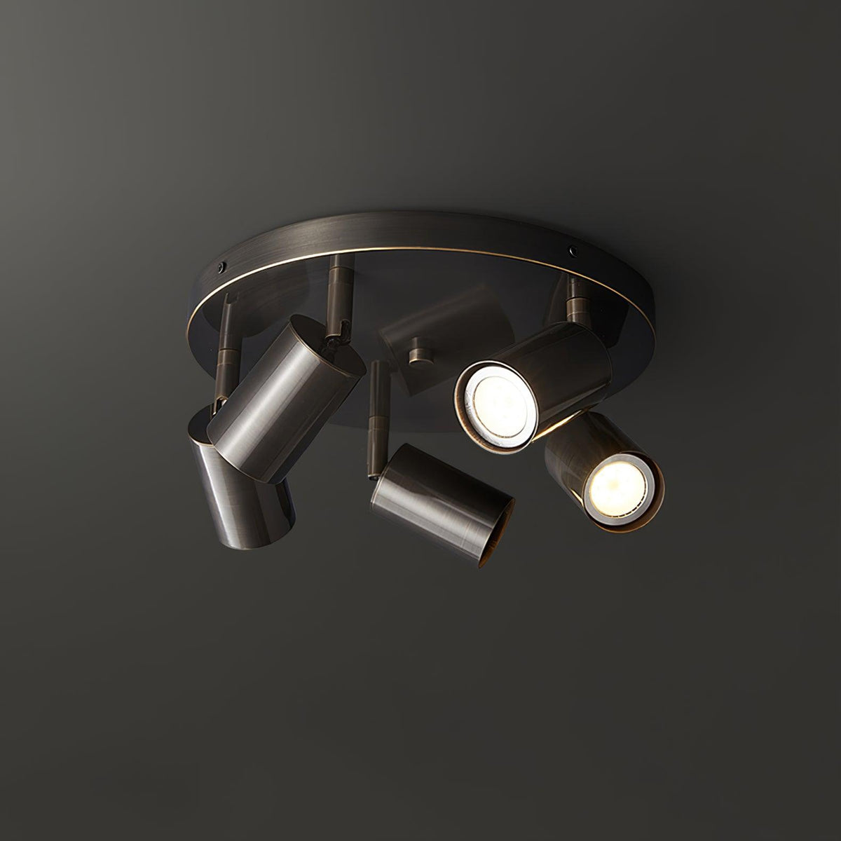 Halo Multi-Head Ceiling Spotlight Adjustable Track Light