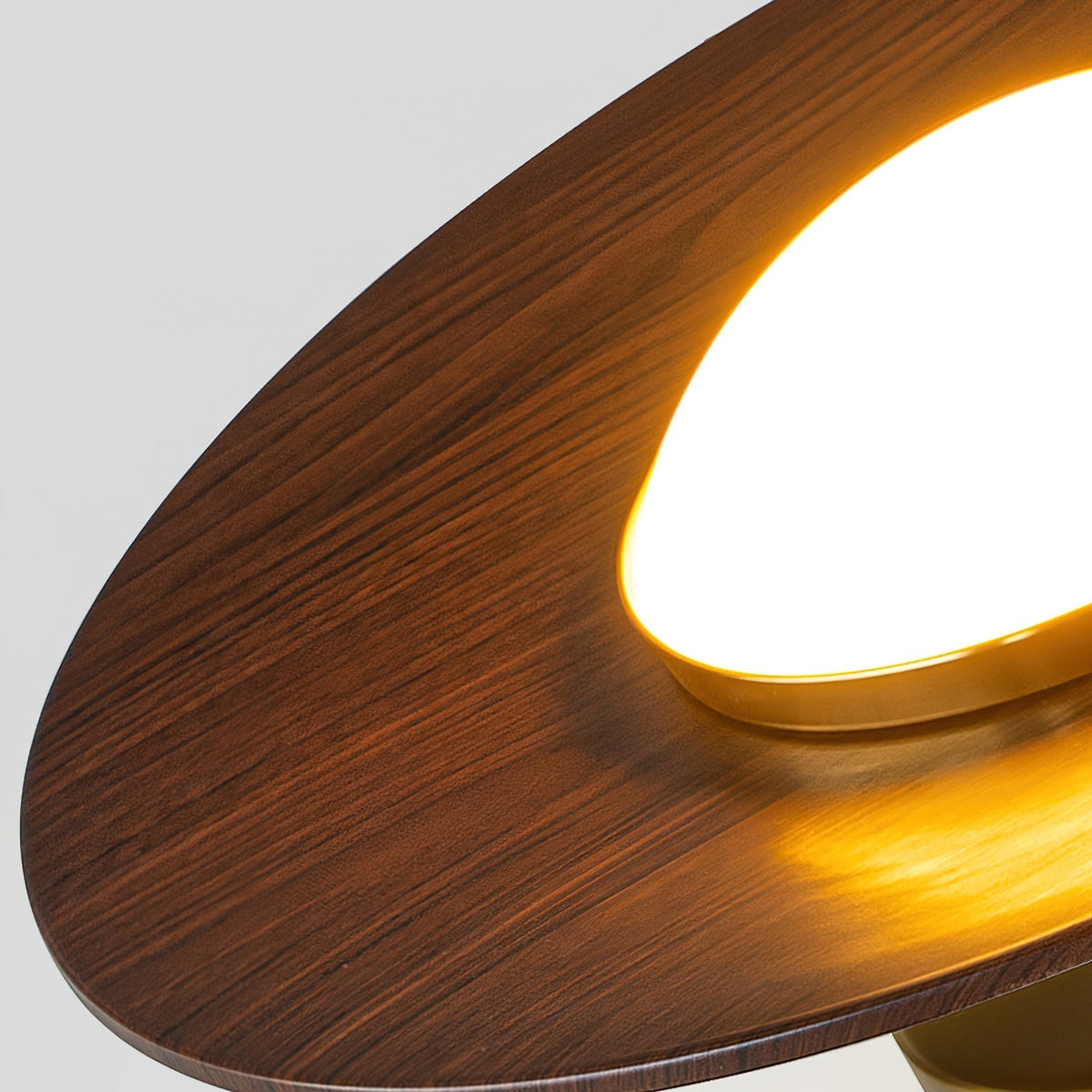 Walnut Disc Flush Mount Ceiling Light Slim Wood Frame