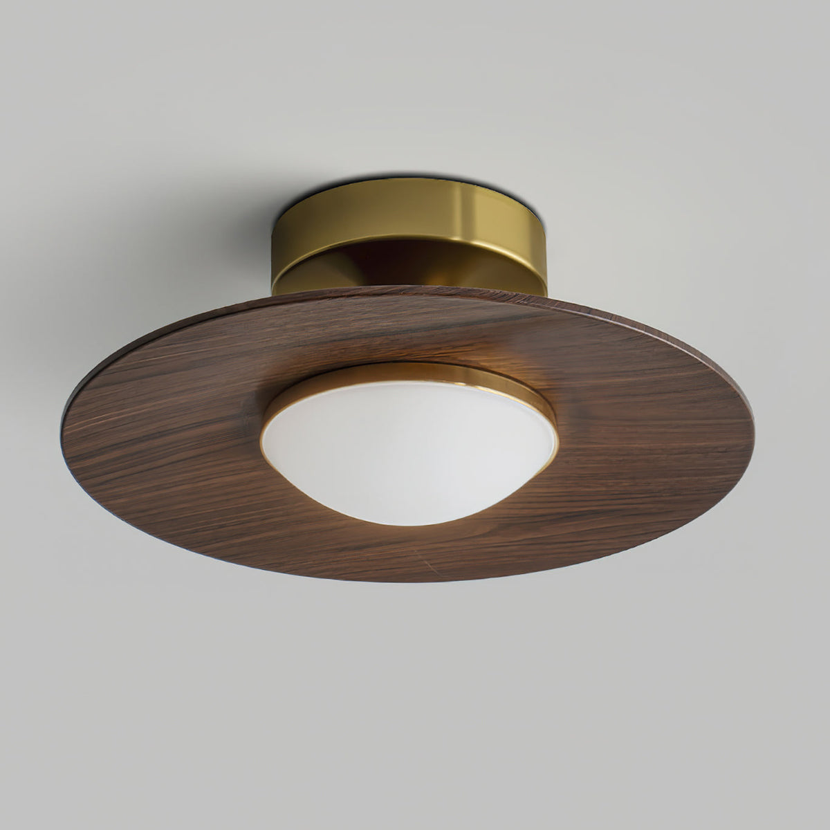Walnut Disc Flush Mount Ceiling Light Slim Wood Frame