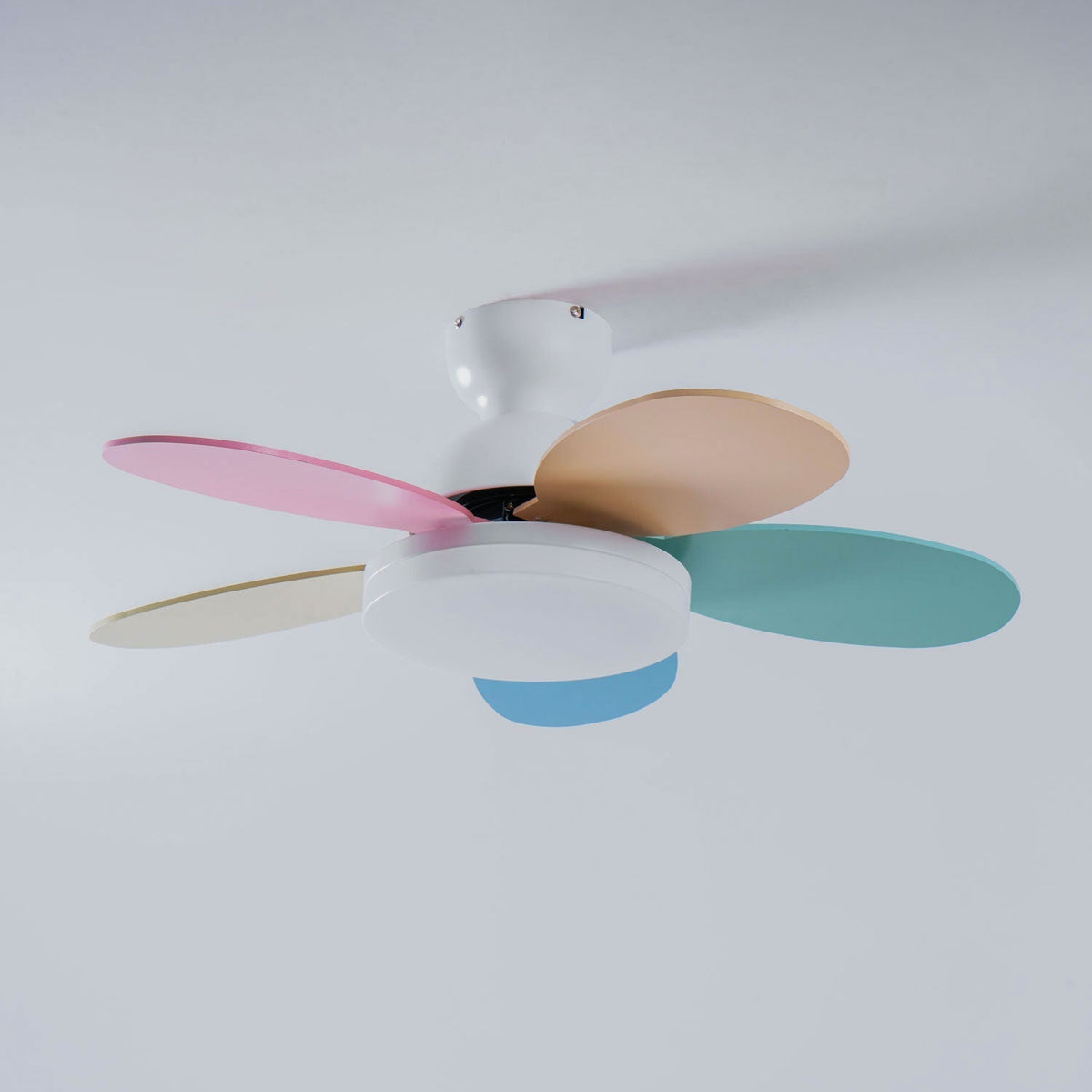 Petal Bloom Ceiling Fan Light Reversible Blades Remote Control