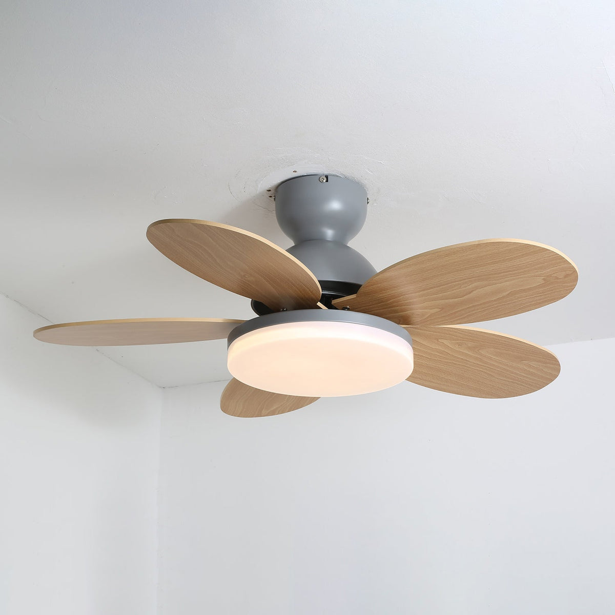 Petal Bloom Ceiling Fan Light Reversible Blades Remote Control