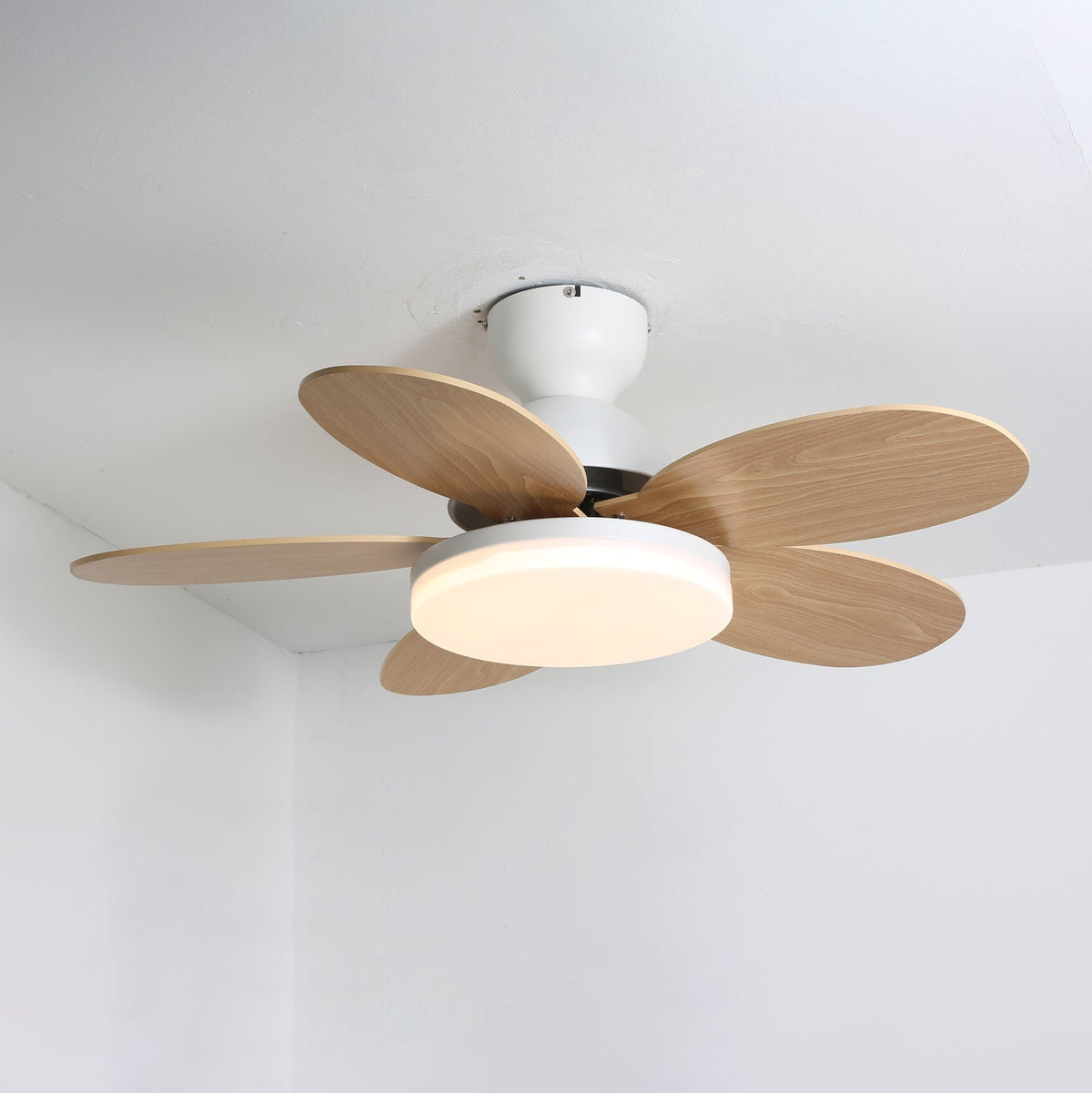 Petal Bloom Ceiling Fan Light Reversible Blades Remote Control