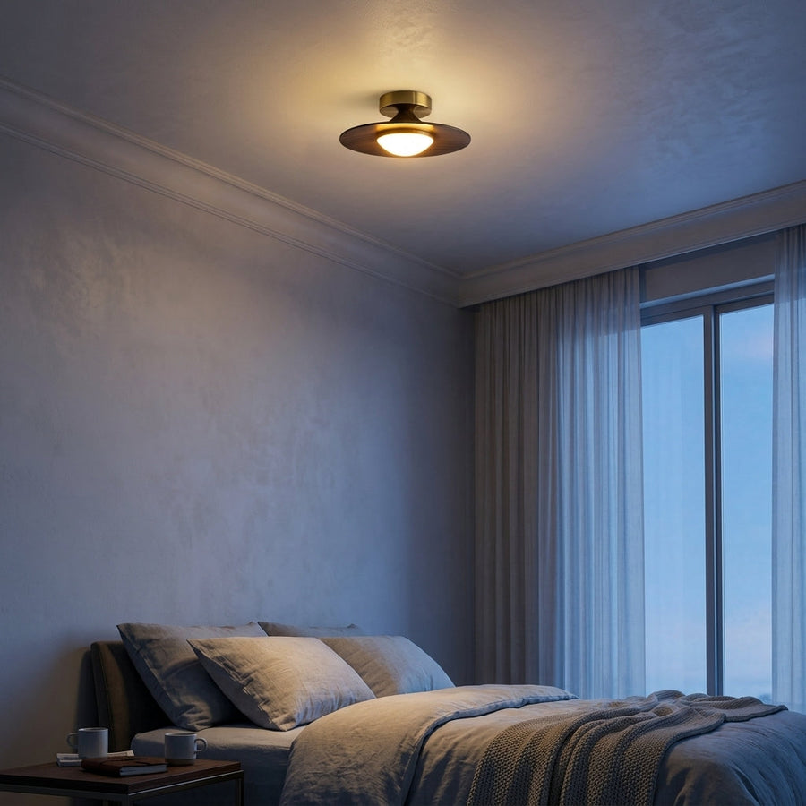 Walnut Disc Flush Mount Ceiling Light Slim Wood Frame